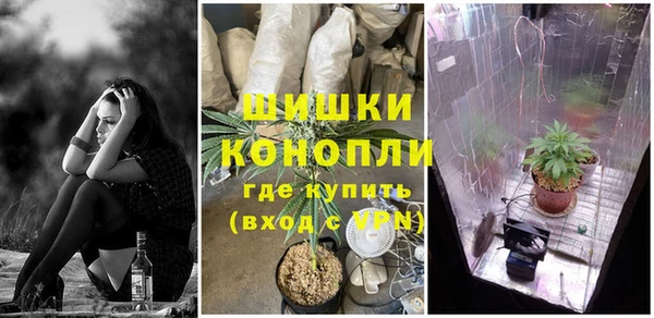 винт Армянск