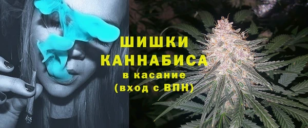 соль ск Арсеньев